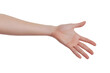 © Kuntil - Isolated Hand Reaching Forward Transparent Background Photo Illustration