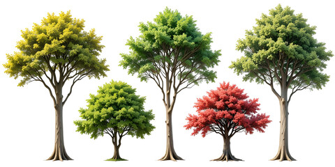 set of trees isolated on transparent png