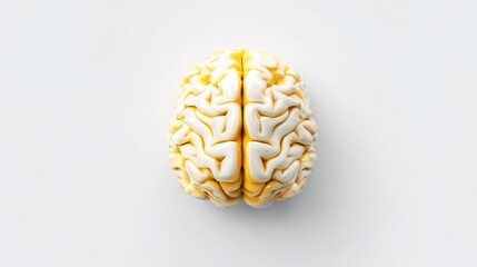 Poster - Realistic image of a human brain representing cognitive fallback and safe psychological default concept in psychology