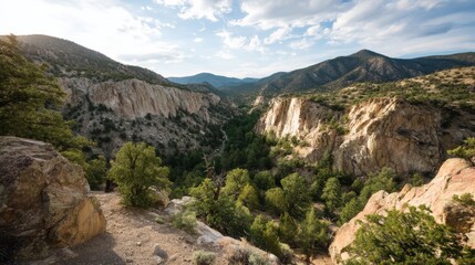 Aufkleber - Golden hour light casts a warm glow over a vast rocky canyon framed by juniper branches, creating a peaceful and inviting natural landscape perfect for exploration