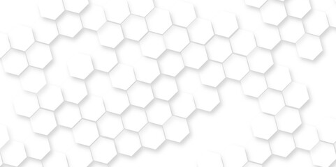 Canvas Print - abstract geometric mesh cell texture, abstract hexagon wall pattern, 3d rendering illustration. whit