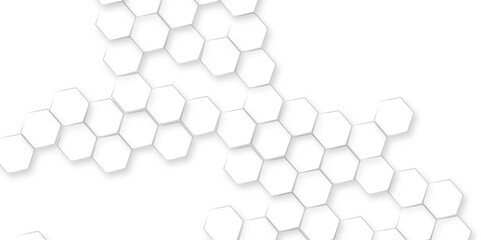 Canvas Print - abstract white hexagon concept background, abstract white geometric mesh cells texture, luxury white