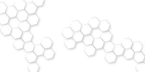 Canvas Print - abstract white hexagon concept background, abstract white geometric mesh cells texture, luxury white