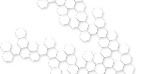 Canvas Print - abstract white hexagon concept background, abstract white geometric mesh cells texture, luxury white