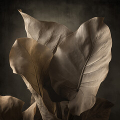 Fototapete - Closeup of large bronzetoned leaves exhibiting intricate veining and subtle texture variations against a dark textured background.  The image evokes a sense of calm and sophistication. : Generative AI