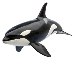killer whale or orca on transparent background