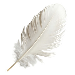 Poster - Delicate white feather with intricate details resting on a smooth surface in soft natural light