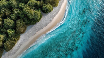 Poster - Vibrant shoreline viewed from above showcases the contrast of white sandy beaches meeting crystal-clear turquoise waters, framed by rich, green vegetation