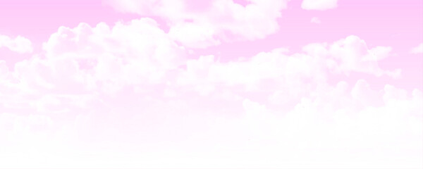 Wall Mural - panorama view pink sky image. vector illustration.