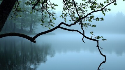 Poster - A tree branch extends over a misty lake reflecting on the water