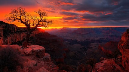 Aufkleber - A silhouetted tree stands before a grand canyon sunset vista