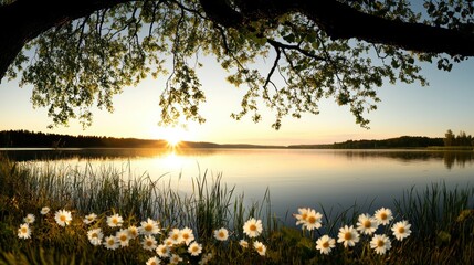 Poster - A scenic lake reflecting the bright sunset with trees overhead