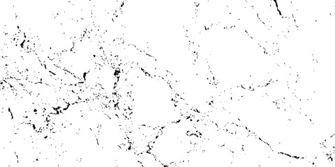 Poster - white marble texture, floor and wall tiles white transparent background. Black line marble slab on clean white background. White marble texture with natural patterns for background design