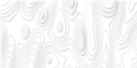 Canvas Print - abstract white paper cut background with lines, 3d papercut decoration textured with wavy layers, ge