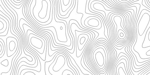 Canvas Print - topographic contour lines grid map seamless pattern, white and gray luxury grid topography map, abst