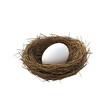 © Ouzhan - A single white egg rests delicately in a woven bird's nest.  The egg symbolizes new beginnings and potential.