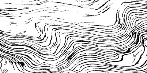 Fototapete - Old black wood transparent white background. Abstract wood grunge black and white distressed texture background. Black and white wood grain texture,showcasing intricate patterns and swirls in the wood