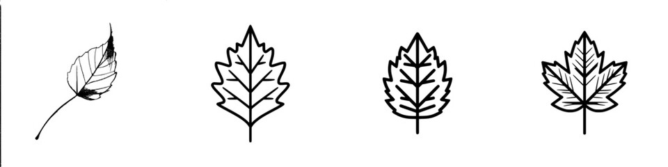 Poster - Vector illustration of various leaf designs showcasing different styles and shapes in an artistic format