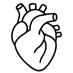 anatomical heart icon on white background vector vector icon