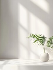 Aufkleber - Minimalist interior with plant in white pot on shelf against textured wall bathed in sunlight studio shot
