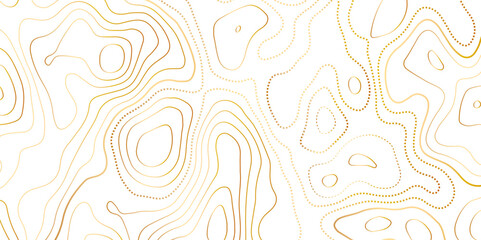 Poster - Abstract topographic map contour, white background and colorful wave lines pattern texture. geographic contour map grid backdrop paper texture. terrain path isolated on a background.	
