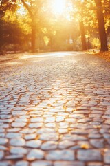 Poster - Cobblestone path bathed in golden sunlight through autumn trees in park landscape perspective