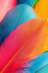 Poster - Vivid Feathers Close Up Abstract Display of Color and Texture in a Vertical Composition of Bright Pink Orange Blue and Yellow