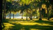 © dario - Blur Nature Bokeh Green Park Beach Tropical Coconut Trees Sunlight BG