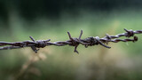 Close up of barbed wire fence security protection with blurry green background stock photography