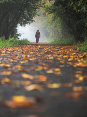 Wall Mural - fallen leaves on a walking path in a forest park and silhouette of a person on white mist in the bac