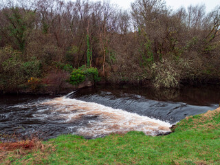 Wall Mural - small river with water flow. trees and bushes growing on the river banks. calm and relaxing nature s