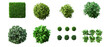 © Oatkhaphon - Top view of various green bushes and shrubs with fresh leaves in different shapes