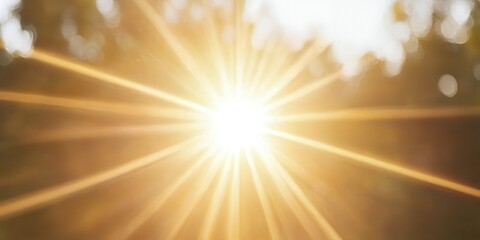 Poster - Warm Sunlight Rays Burst Through Trees Nature Background Image Perfect for Summer Designs Bright Golden Light Beams