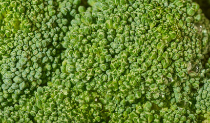  Macro photo green fresh vegetable broccoli.