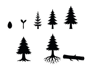Pine tree growth stages icons set – seed, seedling, sapling, mature tree, roots, trunk. Vector icons set