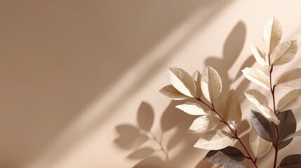 Poster - neutral minimalist background with sunlit leaf shadow details