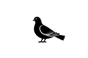 the rock pigeon silhouette in modern illustration form, a modern rock pigeon silhouette, and rock pi