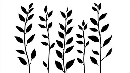 Poster - elegant black silhouette botanical plant leaves nature graphic design element illustration simple mi
