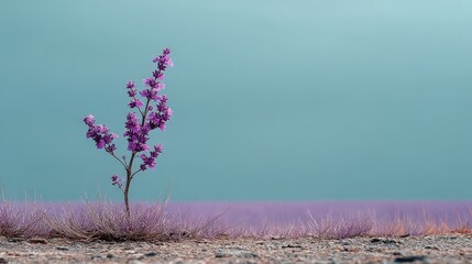 Poster - A solitary plant against a colorful, abstract background of blue and purple hues.