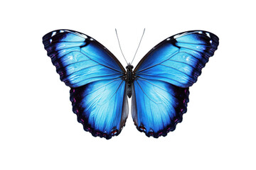 Poster - A close up of a vibrant blue butterfly with symmetrical wings against a pixelated background design