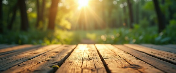 Poster - Wooden planks overlook a sun-drenched forest path, beckoning viewers to imagine a peaceful walk