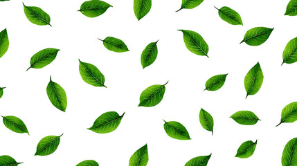 Aufkleber - A simple green leaf pattern on a white background