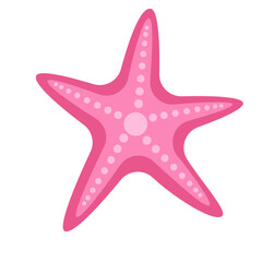 illustration of a pink starfish