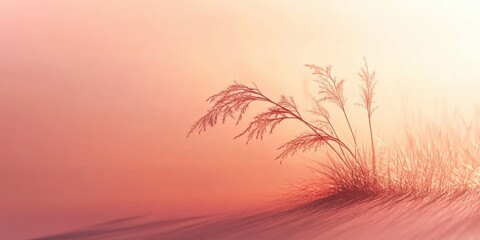 Poster - Serene Grass Silhouette: A graceful silhouette of tall, feathery grass elegantly dances against a gradient backdrop of soft pink and orange hues, casting shadows in the morning light.