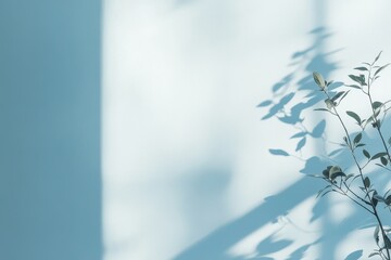 Poster - shadows and leaves: delicate plant leaves dance on a wall, creating a play of light and shadow. capt