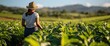 © Bayu - Focused female farmer cultivating plants at agriculture farm, rural backdrop