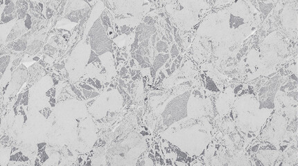 Poster - Elegant stone texture: A close-up perspective of a sophisticated stone texture, its intricate patterns and subtle variations in color and texture are showcased.