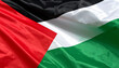© Saepul - Palestine flag background