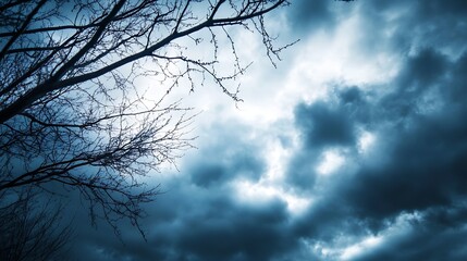 Aufkleber - Silhouette of a leafless tree branches against a dramatic, dark, stormy sky, creating a moody and atmospheric scene. : Generative AI
