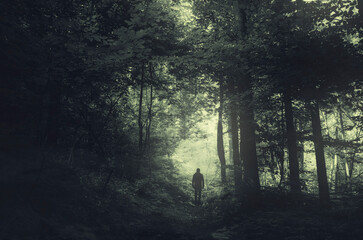 Wall Mural - man silhouette in dark fantasy forest